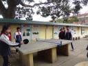 DSC03382 - DSC03382.JPG