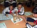 DSC03546 - DSC03546.JPG